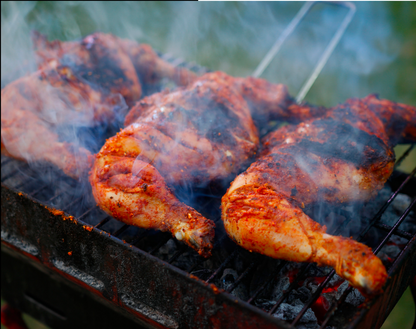 BBQ Grillmaster & Recipes e-Book