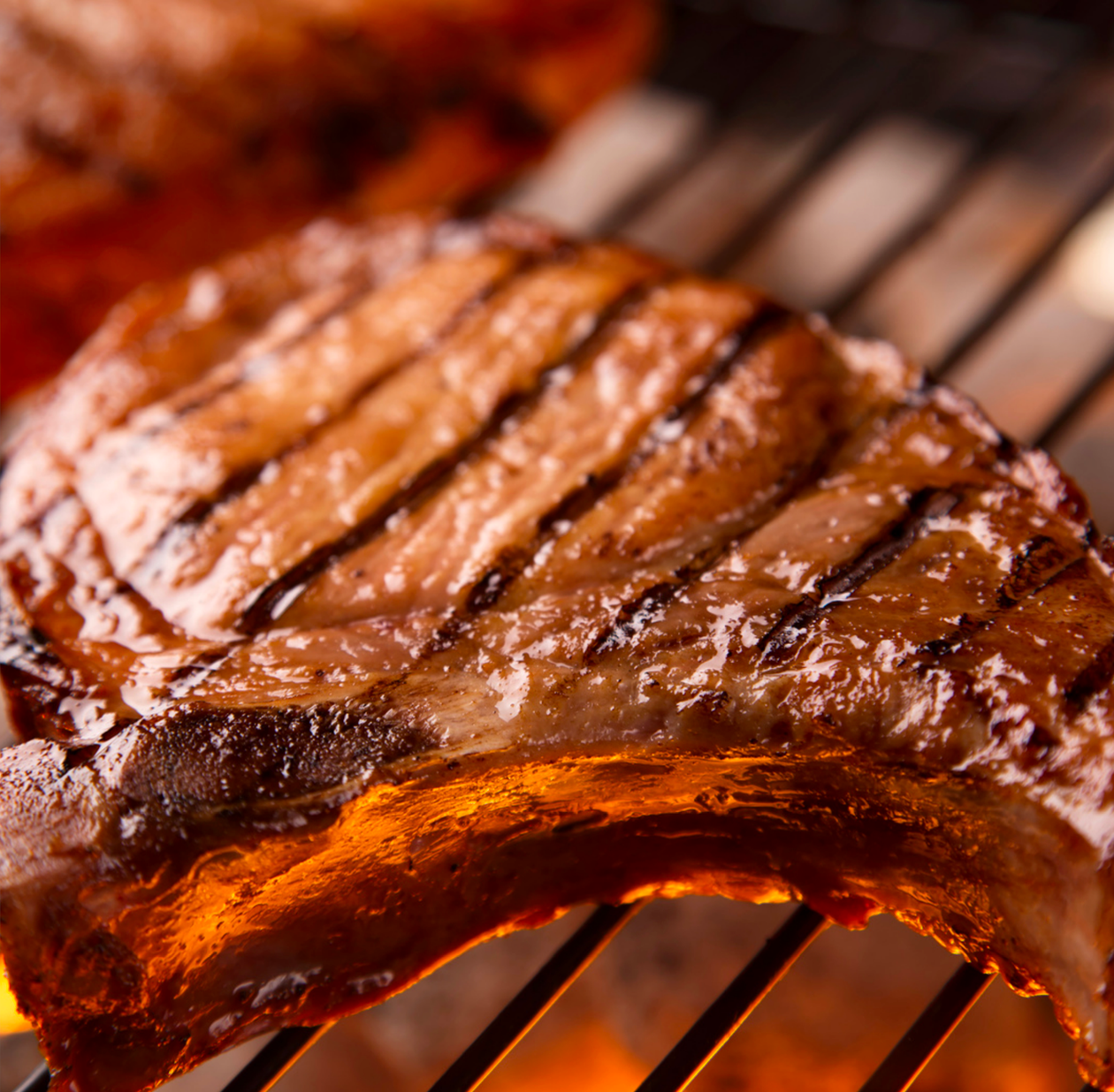 BBQ Grillmaster & Recipes e-Book